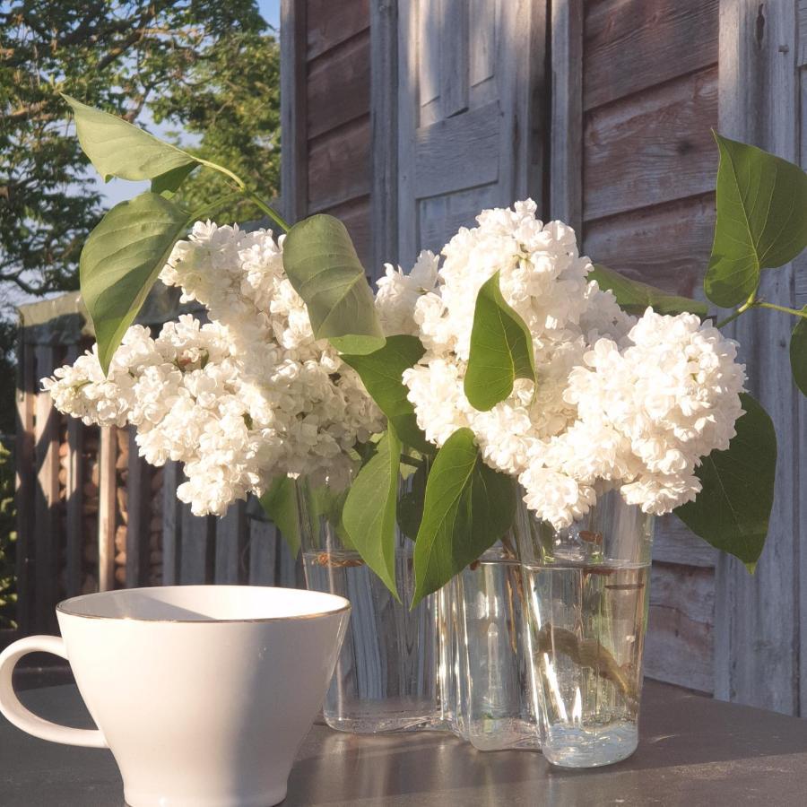 Ronehamn Bed And Breakfast Hemse エクステリア 写真