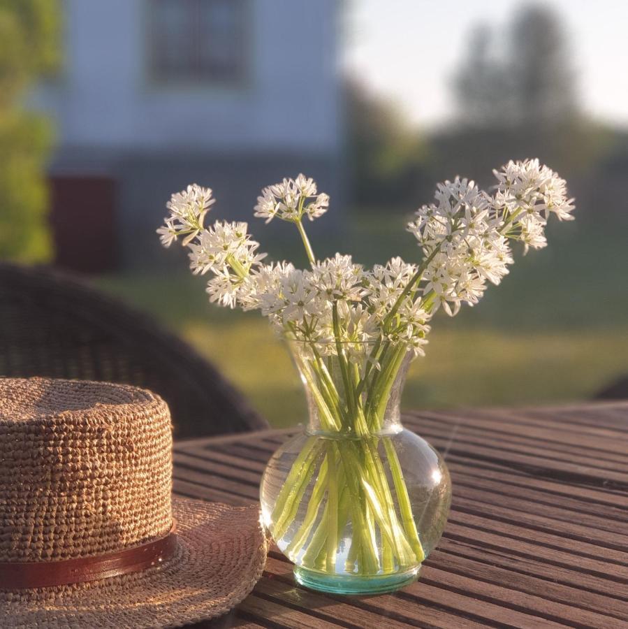 Ronehamn Bed And Breakfast Hemse エクステリア 写真