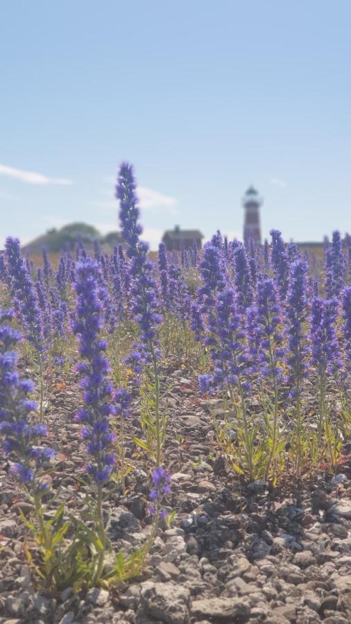 Ronehamn Bed And Breakfast Hemse エクステリア 写真